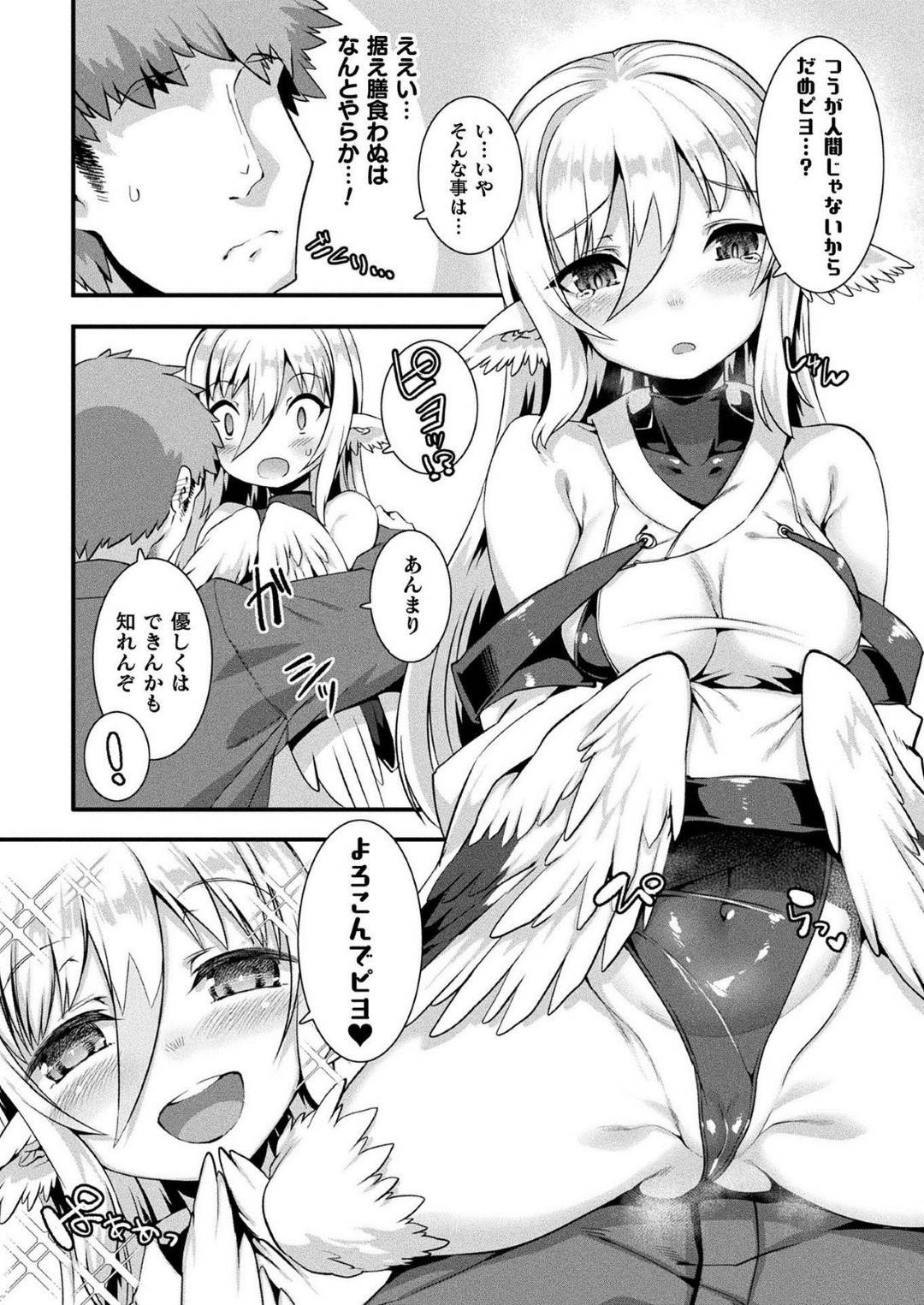 【エロ漫画】主人公に助けられた鶴の獣娘…彼女は彼に恩返しをしようと、彼の家に訪れてはエッチな事を迫る！【針金紳士:つるハーピィの恩返し】