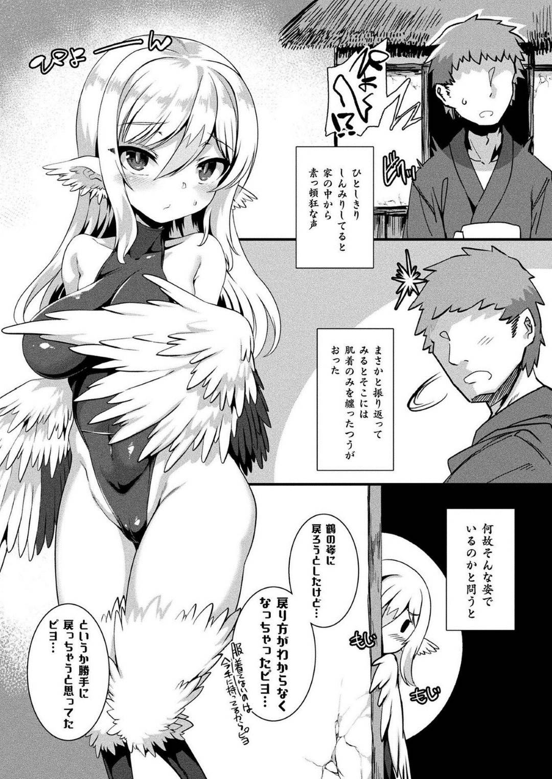 【エロ漫画】主人公に助けられた鶴の獣娘…彼女は彼に恩返しをしようと、彼の家に訪れてはエッチな事を迫る！【針金紳士:つるハーピィの恩返し】